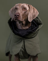 PAIKKA | Visibility Hundewinterjacke | REFLEKTIEREND | Wool Green