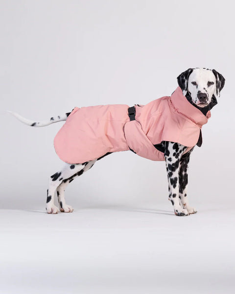 PAIKKA | Visibility Hundewinterjacke | Wool Rose