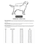 PAIKKA | Hunderegenanzug | Grün | REFLEKTIEREND