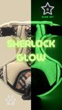 *SALE* Hilde's Schätze | Multifunktions Geschirr | Sherlock Glow | Auch für Bulldoggen