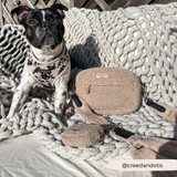 CocoPup London | Dog Walking Bag | Teddy Rupert