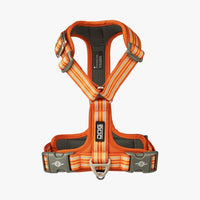 D.O.G. Copenhagen | Comfort Walk Air™ Geschirr | Harness | Verschiedene Farben