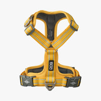 *LIMITED EDITION* D.O.G. Copenhagen | V3 Comfort Walk Air™ Geschirr | Harness | Lemon