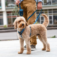 D.O.G. Copenhagen | Comfort Walk Air™ Geschirr | Harness | Verschiedene Farben