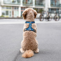D.O.G. Copenhagen | Comfort Walk Air™ Geschirr | Harness | Verschiedene Farben