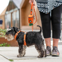 D.O.G. Copenhagen | Comfort Walk Air™ Geschirr | Harness | Verschiedene Farben