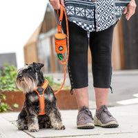 D.O.G. Copenhagen | Comfort Walk Air™ Geschirr | Harness | Verschiedene Farben