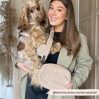 CocoPup London | Dog Walking Bag | Teddy Rupert