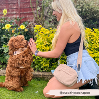 CocoPup London | Dog Walking Bag | Teddy Rupert