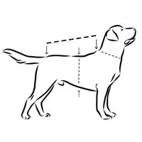 PAIKKA | Quilted Sherpa Jacke | Hunde Steppjacke | Olive