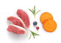 Grandorf Fresh | Mini | Frisches Entenfleisch mit Süsskartoffeln für kleine Rassen