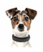 *SALE* Milk&Pepper | Halsband | Trafalgar Noir