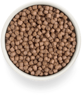 Grandorf Fresh | Mini | Frisches Lachsfilet mit Süsskartoffeln für kleine Rassen