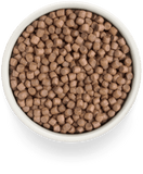 Grandorf Fresh | Mini | Frisches Lachsfilet mit Süsskartoffeln für kleine Rassen