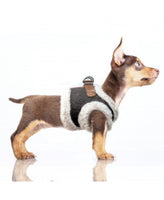 Milk&Pepper® | Step In Hundegeschirr | Evan