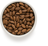 Grandorf | Große Rassen | Turkey & Brown Rice | Pute und brauner Naturreis