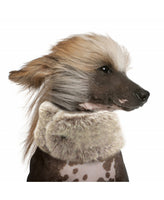 Milk&Pepper | Snood | Kirill