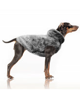 Milk&Pepper | Sweat Hundemantel | Achille