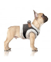 Milk&Pepper® | Step In Hundegeschirr | Evan