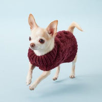 PAIKKA | Pullover für Hunde | handgestrickt | Burgundy
