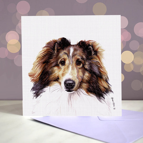 Grußkarte | Shetland Sheepdog