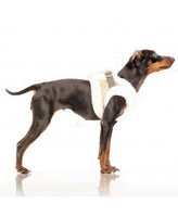 Milk&Pepper® | Step In Hundegeschirr | Maïa
