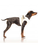 Milk&Pepper® | Step In Hundegeschirr | Maïa