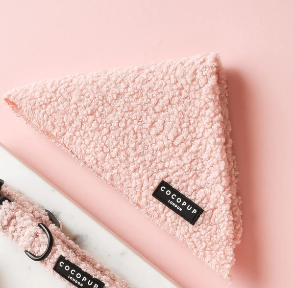 CocoPup London | Bandana | Teddy Love-A-Lot