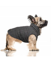Milk&Pepper | Hundemantel | Graham