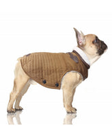 Milk&Pepper | Hundemantel | Liam