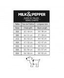 Milk&Pepper | Regenmantel | Spencer | Gold