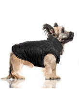 Milk&Pepper | Hundemantel | Graham
