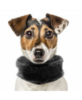Milk&Pepper | Snood | Tanya