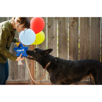 P.L.A.Y. | Best-Day-Ever Balloon