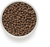 Grandorf | Mini | 4 Meat & Brown Rice | Pute, Lamm, Ente, Kaninchen & brauner Naturreis