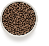Grandorf | Mini | 4 Meat & Brown Rice | Pute, Lamm, Ente, Kaninchen & brauner Naturreis