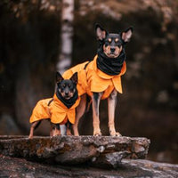 *SALE* PAIKKA | Recovery | Hunderegenmantel | Orange | VOLLREFLEKTIEREND