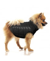 Milk&Pepper | Wende- Hundemantel | Bodywarmer | Nordik | Türkis / Schwarz