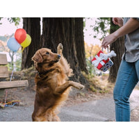 P.L.A.Y. | Pawfect Present