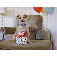 P.L.A.Y. | Pawfect Present