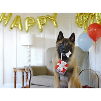 P.L.A.Y. | Pawfect Present
