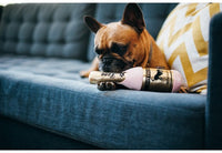 P.L.A.Y. | Barking Bubbly
