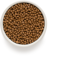 Grandorf | Mini | Turkey & Brown Rice | Pute mit braunem Naturreis