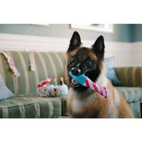 P.L.A.Y. | Raise the Woof Party Horn