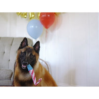 P.L.A.Y. | Raise the Woof Party Horn