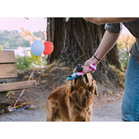 P.L.A.Y. | Raise the Woof Party Horn